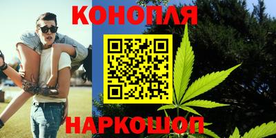 PSILOCYBIN Гатчина