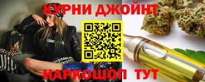 PSILOCYBIN Гатчина