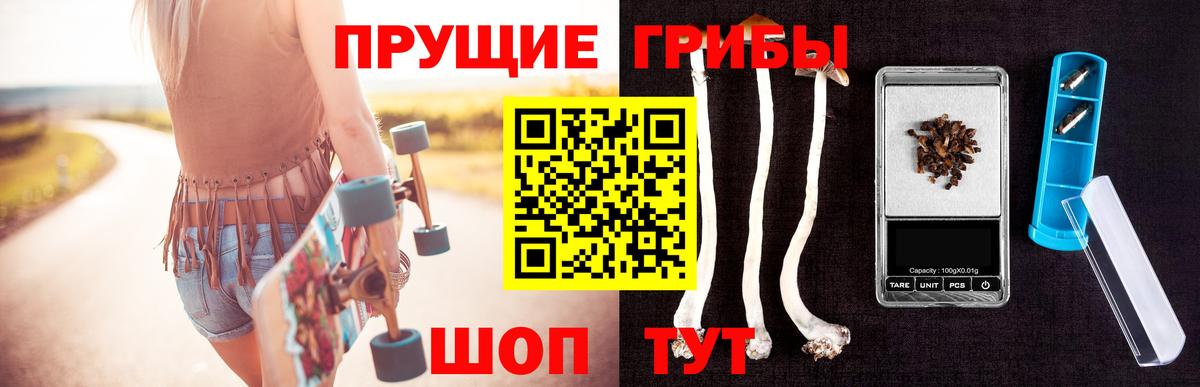 Псилоцибиновые грибы GOLDEN TEACHER  Псилоцибиновые грибы Magic Shrooms  Гатчина 