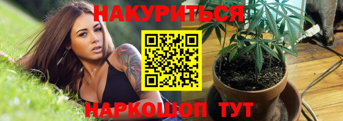 Бошки марихуана Amnesia  Шишки марихуана Amnesia  Бошки Шишки гибрид  Каннабис ГИДРОПОН  Гатчина  Вход с VPN 